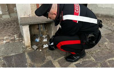 a roma i pusher nascondono la droga anche nelle trappole per topi e nei cassonetti dei rifiuti 11 arresti