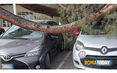 albero cade sulle macchine nel parcheggio di un supermercato tragedia sfiorata