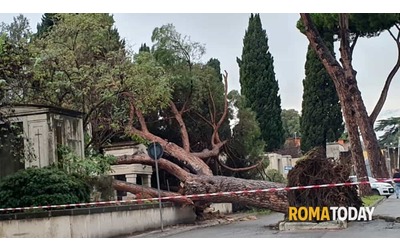 allerta meteo a roma il vento fa paura gualtieri chiude cimiteri e cinque strade