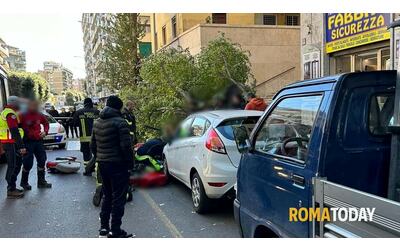 Il 2023 dei pompieri di Roma: più 40% d'interventi per alberi pericolanti...