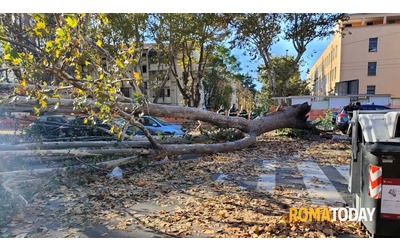 il vento schianta roma 300 tra rami e alberi caduti una donna morta e sei feriti