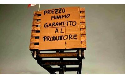 Protesta agricoltori, il 15 febbraio manifestazione al Circo Massimo: 