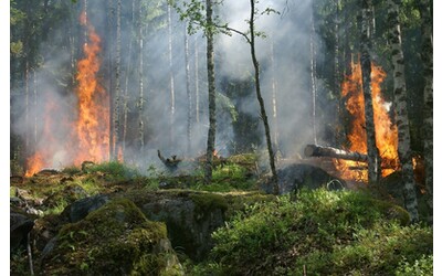 copernicus il canada ha prodotto il 23 delle emissioni globali di carbonio da incendi boschivi nel 2023