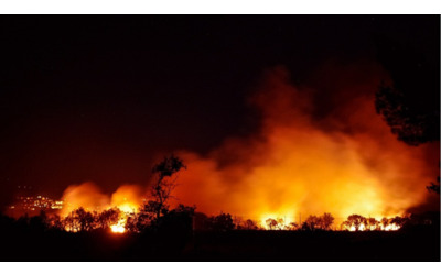 Copernicus: le emissioni più elevate di incendi boschivi per il mese di...