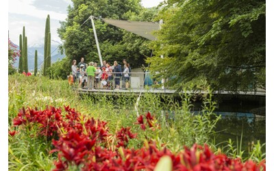 Giardini di Castel Trauttmansdorff: le visite guidate e a tema della stagione 2024