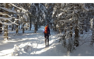 L’inverno magico di Lana in Alto Adige: la natura di Monte San Vigilio, il...