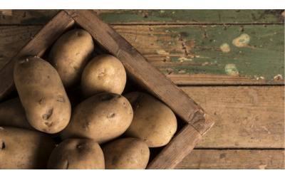 Potatoes Forever! I risultati della survey sulle abitudini di consumo e di acquisto di patate in Italia