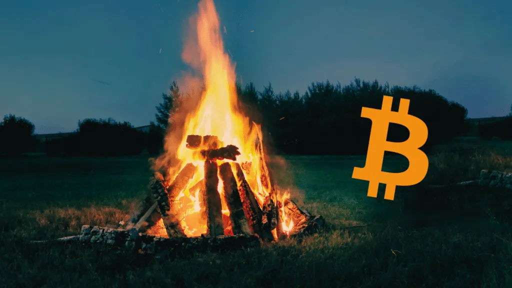 Brucia 8 milioni di dollari in Bitcoin: li ha trasferiti a indirizzo irrecuperabile. 12 anni di risparmi in fumo