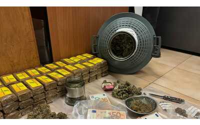 Hashish e marijuana al posto del vino. La droga nascosta nelle damigiane in cantina