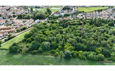 A Lendinara un bosco spontaneo dentro l’ex zuccherificio rischia di sparire per far posto a nuovi edifici