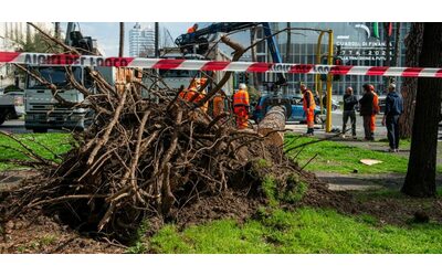 A Roma cade un albero per il vento nel parco Livio Labor: morta una 45enne, un’altra donna ferita