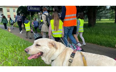 A scuola con i cani: “Così a Brugherio i bimbi diventano i padroni ‘intelligenti’ del futuro”