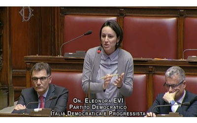 Abbattimento di pulcini maschi, Evi (Pd): “Morti inutili e feroci, il governo dia risposte” – Video