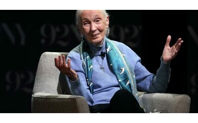 Addio a Jane Goodall, l’etologa che ha vissuto tra gli scimpanzé per studiare il loro comportamento