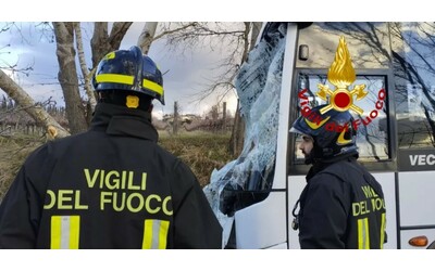 Albero cade su uno scuolabus a Rignano sull’Arno, intervento dei vigili del fuoco: nessun bambino ferito
