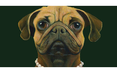 Amano pi le donne degli uomini conoscono 200 parole niente corsa di fianco alla bici o in borsa Parola di cane un libro di consigli e stimoli per un rapporto bidirezionale tra uomo e cani