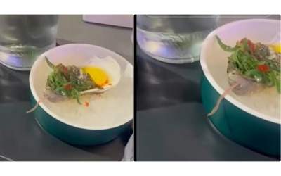 “Andiamo via, non mangio più”: trovano un verme nell’ostrica al sushi, ma i proprietari si difendono: “Non è pericoloso, vuol dire che le ostriche sono fresche”