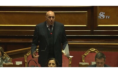 Armi all’Ucraina, Crosetto: “Modo per aiutare Kiev a difendersi, non per far proseguire il conflitto. Noi siamo in guerra con la guerra”