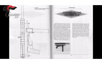 Arrestato 17enne che progettava una strage neonazista come a Columbine trovate istruzioni per fabbricare ordigni e armi chimiche
