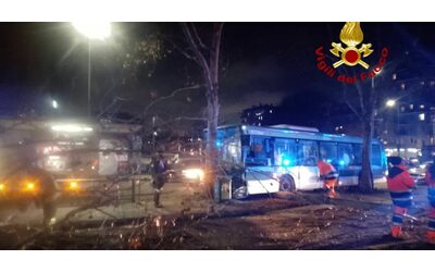 Autobus si schianta contro un palo dopo malore del conducente: nove feriti a Milano