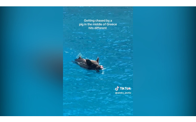 Bagno (con sorpresa) per due turiste in Grecia: inseguite da un cinghiale mentre nuotano – Video