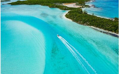 Bahamas, avventure naturalistiche nel cuore dei tropici
