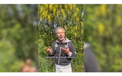 Caccia Giovanni Storti contro la riforma del centrodestra Di questi politici bisogna vergognarsi Video