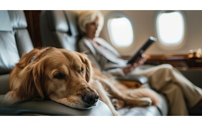 “Cani in aereo solo vicino al finestrino e mai vicino alle uscite di sicurezza, zone ‘cuscinetto’ per chi ha allergie o non gradisce la loro vicinanza”: le regole dall’Enac