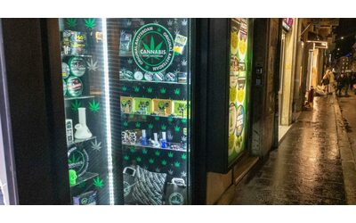 Cannabis il Consiglio di Stato accoglie ricorso delle aziende Possono vendere l olio di Cbd La battaglia giudiziaria 2 anni