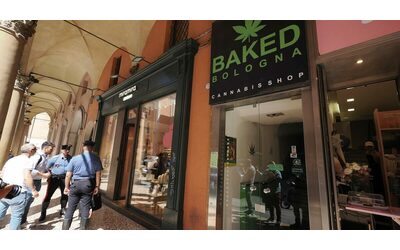 Cannabis light contaminata il governo lancia l allarme Ma boccia i controlli e favorisce la repressione contro la filiera