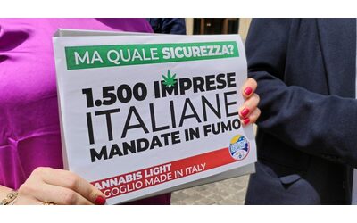 Cannabis light gli imprenditori 60 sequestri e denunce per droga in 4 giorni Il governo rafforza la repressione