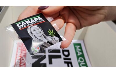Cannabis light, il bluff del decreto Sicurezza: “Sequestri in calo, ma imprenditori spaventati”. 3 su 10 hanno chiuso bottega
