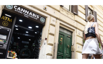 Cannabis light, il decreto sicurezza contro le aziende della canapa fa acqua tra archiviazioni e restituzioni: “E i sequestri sono fermi da mesi”