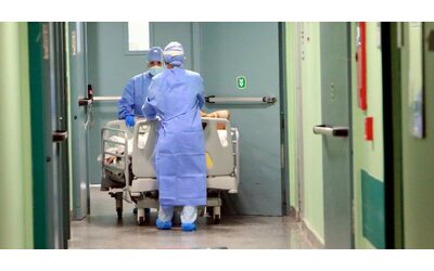 Covid allerta per la variante Cicada ecco perch la nuova mutazione BA 3 2 preoccupa gli esperti