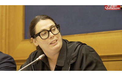 Dossier sulle armi da Italia a Israele, Ascari (M5s): “Il nostro Paese complice di genocidio, ha fornito i mezzi per bombardare Gaza”