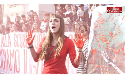 Educazione sessuale Assurdo chiedere il consenso alle famiglie le voci degli studenti al No Meloni Day di Roma