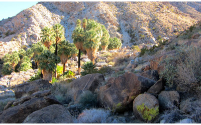 Escursionista si gode la pace di una camminata “in un’area deserta” quando s’imbatte in un teschio umano: cosa è accaduto