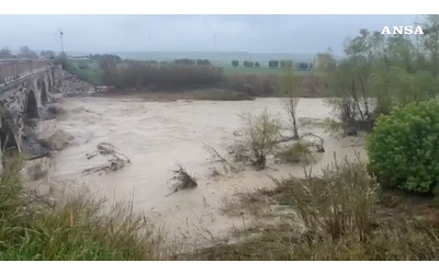 Esonda il torrente Cervaro nel Foggiano, automobilisti e persone portate in salvo: le campagne allagate – Video