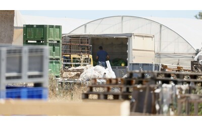 “Esposto per tre giorni ai pesticidi senza protezioni”: gambe amputate a un bracciante a Latina. Aperta un’inchiesta