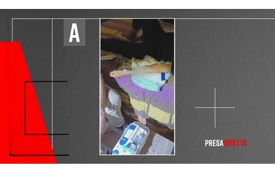 False cure a base di cellule staminali l inchiesta di PresaDiretta Crimine farmaceutico La clip in anteprima