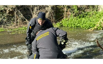 Femminicidio Federica Torzullo l ipotesi di un complice che ha aiutato Carlomagno e le ricerche del coltello
