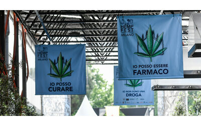 “Fino a due anni di carcere per chi usa disegni della pianta di cannabis come pubblicità”: la nuova proposta leghista. Bonelli: “Uno schifo”