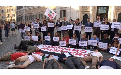 Flash mob del Pd a sostegno di Gaza in Piazza Montecitorio: “Il governo Meloni deve agire”