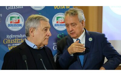 Forza Italia il capogruppo Barelli contro i figli di Berlusconi I partiti si guidano da dentro