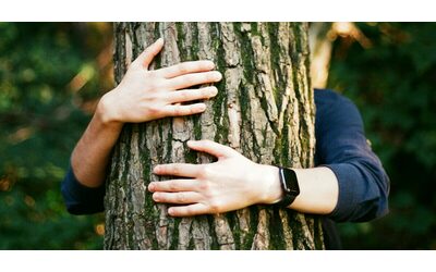 Guardo, annuso, ascolto e tocco: la Natura migliora la salute. Gli studi scientifici che lo dimostrano