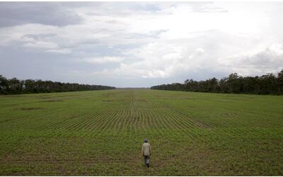 Guerra della soia, asset strategico tra potenze. La Cina la importa dal Brasile e Trump teme l’ira degli agricoltori Usa