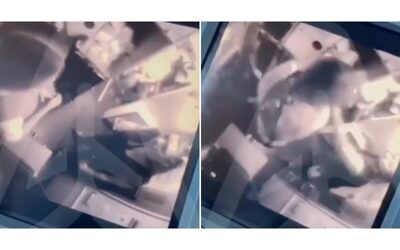 “Ha preso a schiaffi e pugni le hostess”: passeggera innesca una rissa choc sull’aereo