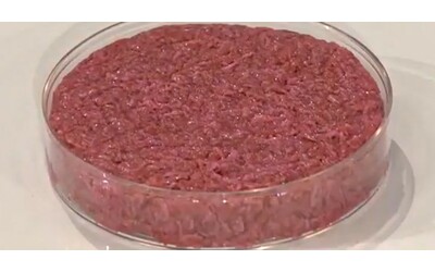 Hamburger coltivati in laboratorio, etici e indistinguibili da quelli tradizionali? Lo studio del Politecnico di Zurigo