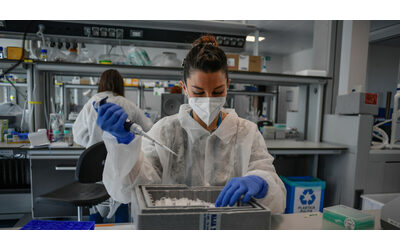 Human Technopole per una disputa con la Statale di Milano persi 8 7 milioni di euro destinati alla ricerca