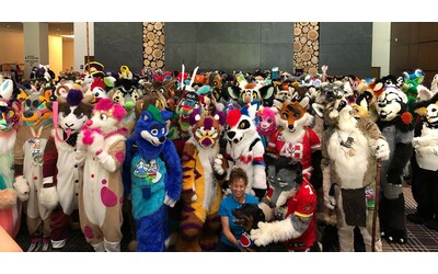 I Maga hanno trovato il loro nemico esistenziale le persone che si credono gatti